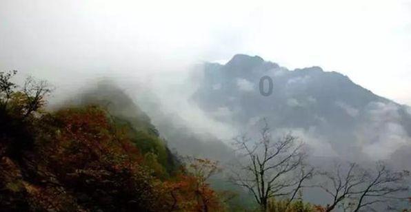 万词王